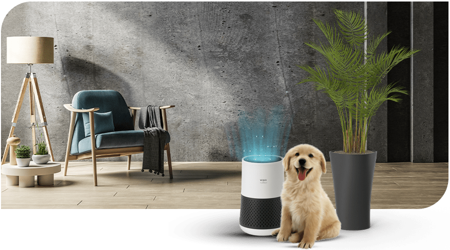 WINIX PlasmaWave technology